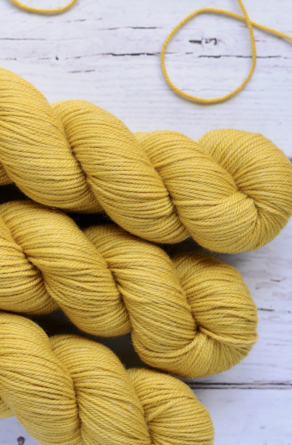 Julie Asselin Nomade BFL