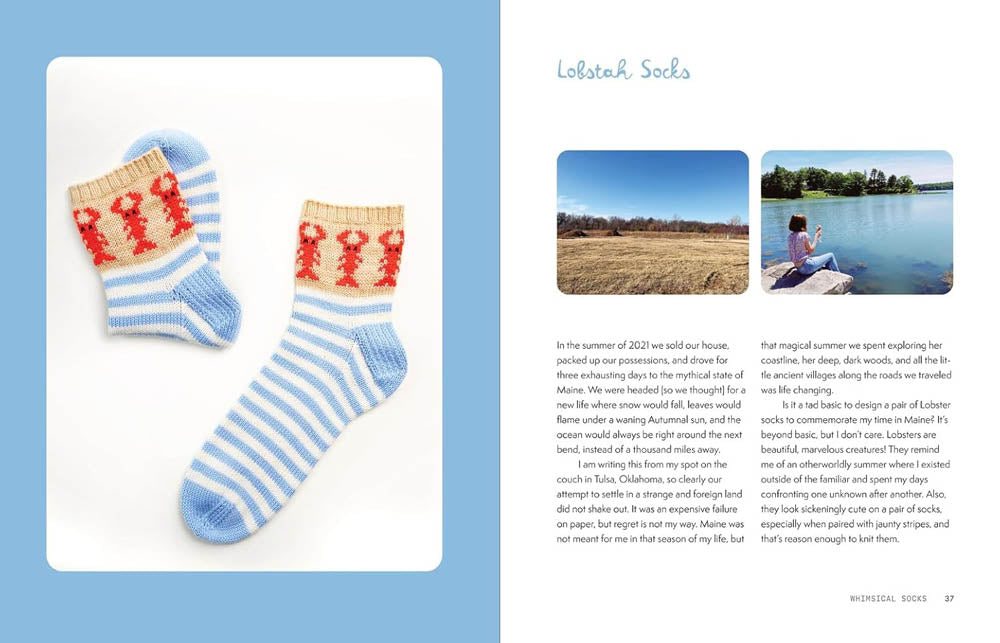The Sock Obsession by Summer Lee