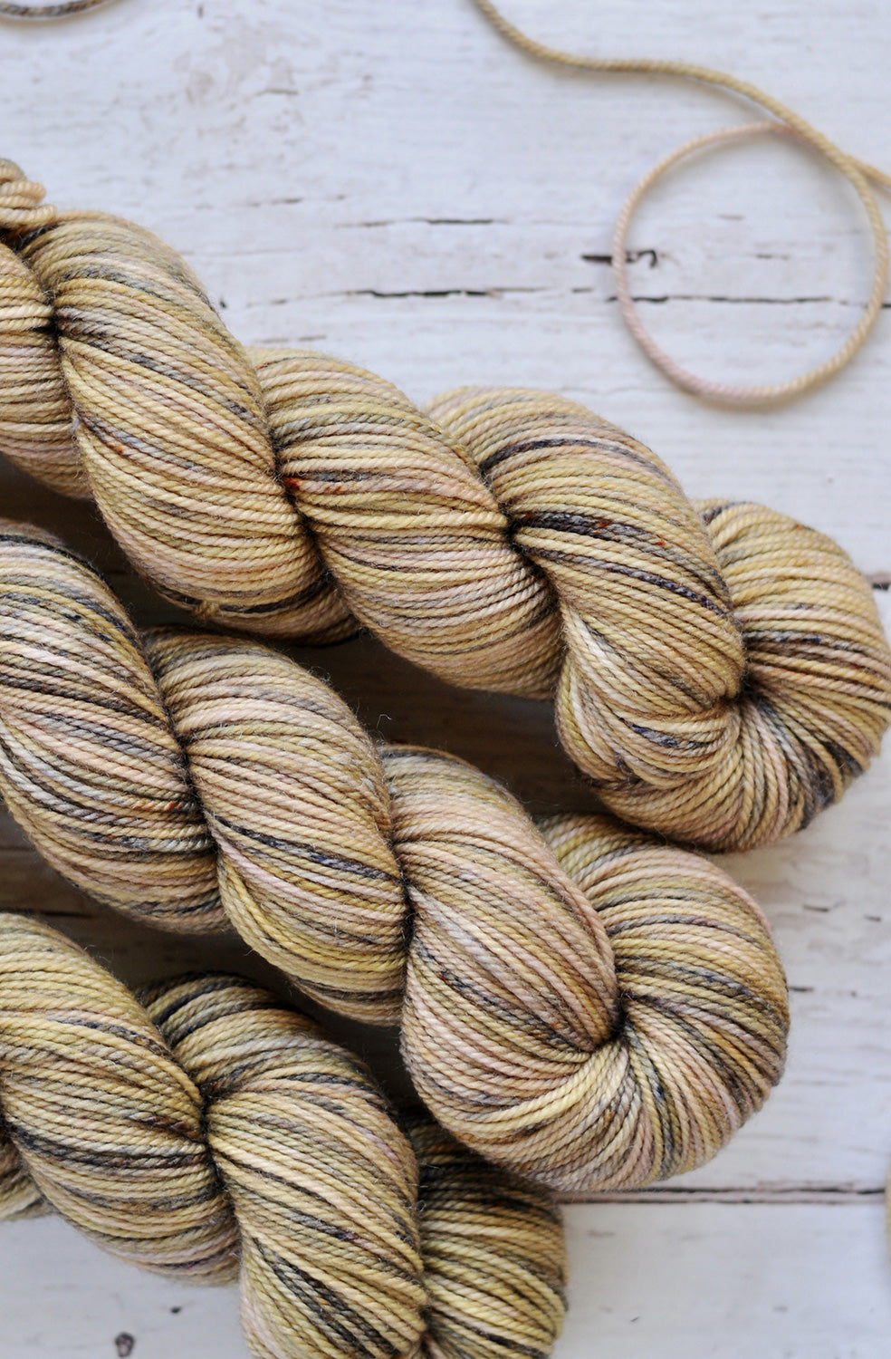 Julie Asselin Nomade BFL